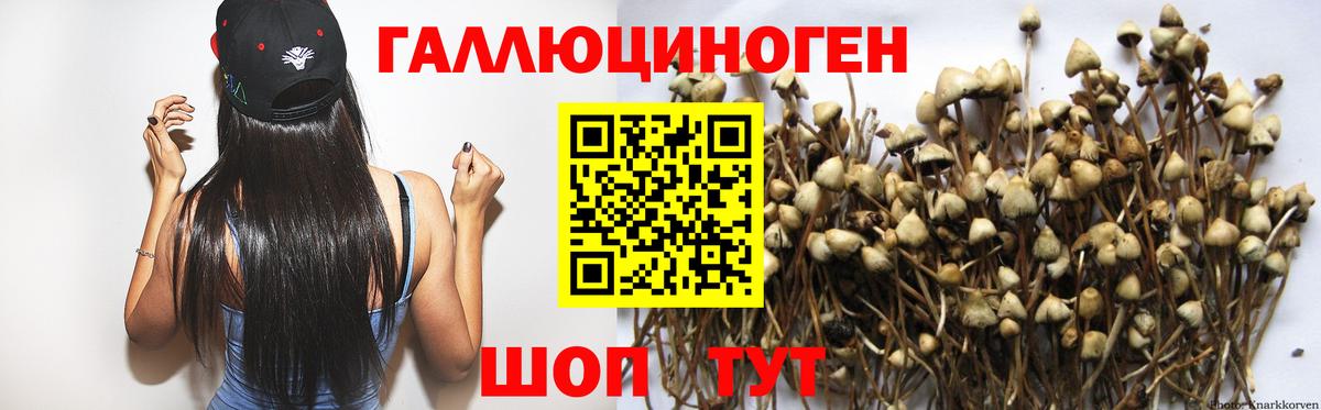 Псилоцибиновые грибы Psilocybine cubensis  Вход с VPN  Псилоцибиновые грибы Psilocybine cubensis  Домодедово 