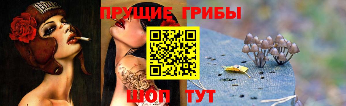 Галлюциногенные грибы MAGIC MUSHROOMS Домодедово